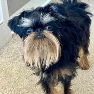 Meet your Posher, Tara